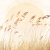 Dune Grass - Thumbnail View 1