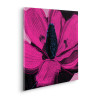 Pink Fusion - Thumbnail View 1