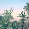 Amazonia - Slider Item - View 1