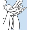 Cinderella Bird - Slider Item - View 1