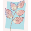 Cinderella Plant - Thumbnail View 1