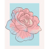 Cinderella Rose - Thumbnail View 1