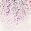 Kirschblüten - Thumbnail View 1