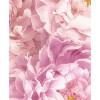 Dahlia - Slider Item - View 1