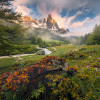 Flowering Tales - Slider Item - View 1