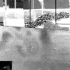 Infinity Prancing white - Thumbnail View 1