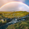 Coloured Faeroer - Thumbnail View 1