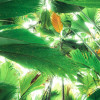 Touch the Jungle  - Slider Item - View 1