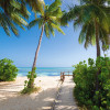 Paradise Morning - Slider Item - View 1