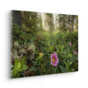Charming Woods - Thumbnail View 1