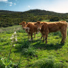 Dolomitentraum - Slider Item - View 1