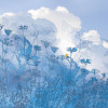 Suprabatic - Slider Item - View 1
