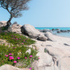 Beach Tales - Slider Item - View 1