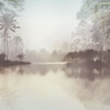 Lac Tropical Black & White - Slider Item - View 1