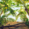 Palmy Beach - Slider Item - View 1