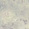 Charming Bloom - Slider Item - View 1