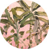 Botany - Thumbnail View 1