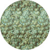 Greenery - Thumbnail View 1