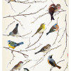 Schmetterlinge - Slider Item - View 1