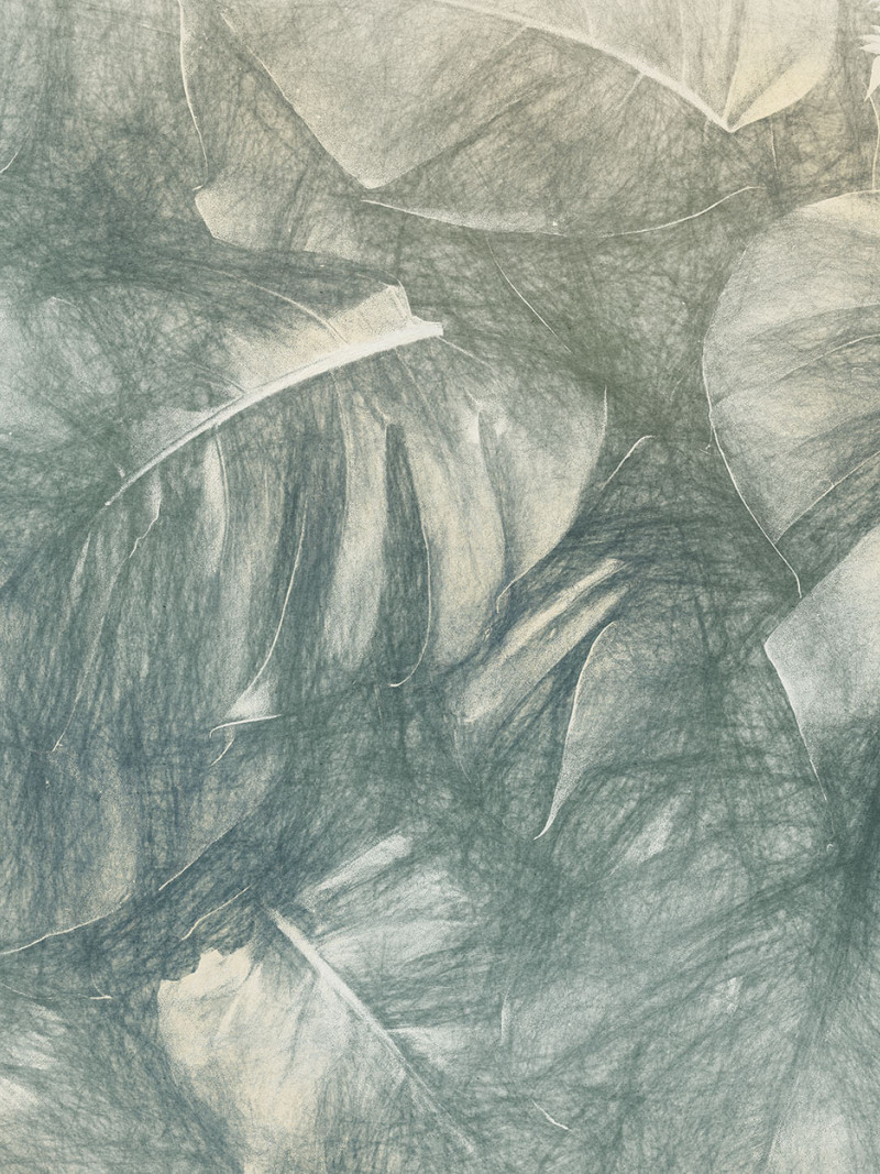 Beyond Botanic - Thumbnail View 1