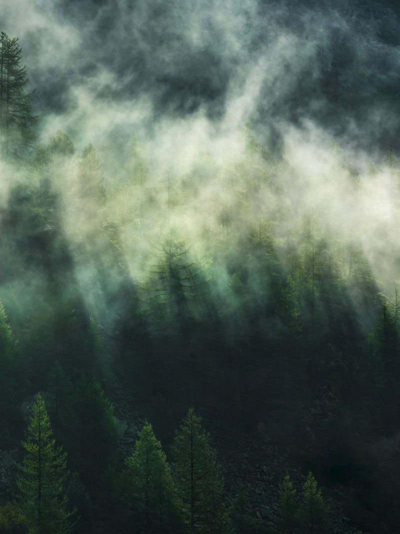 Misty Crowns - Thumbnail View 1