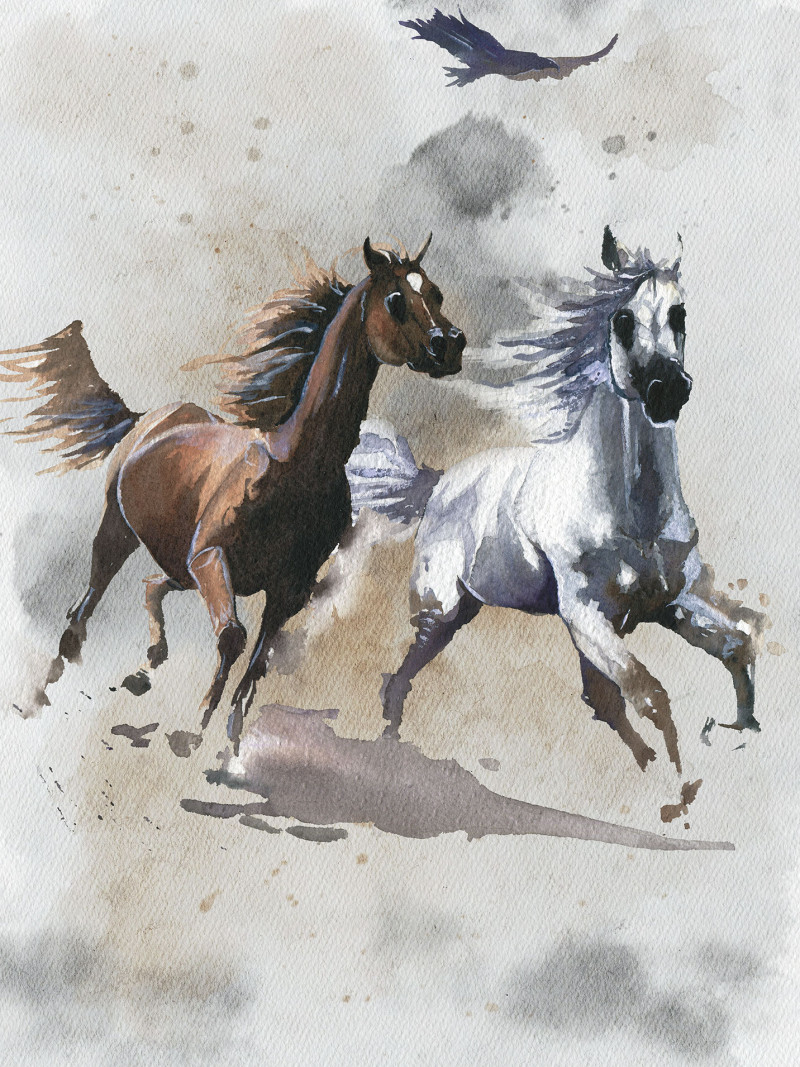 Wild Ride - Thumbnail View 1