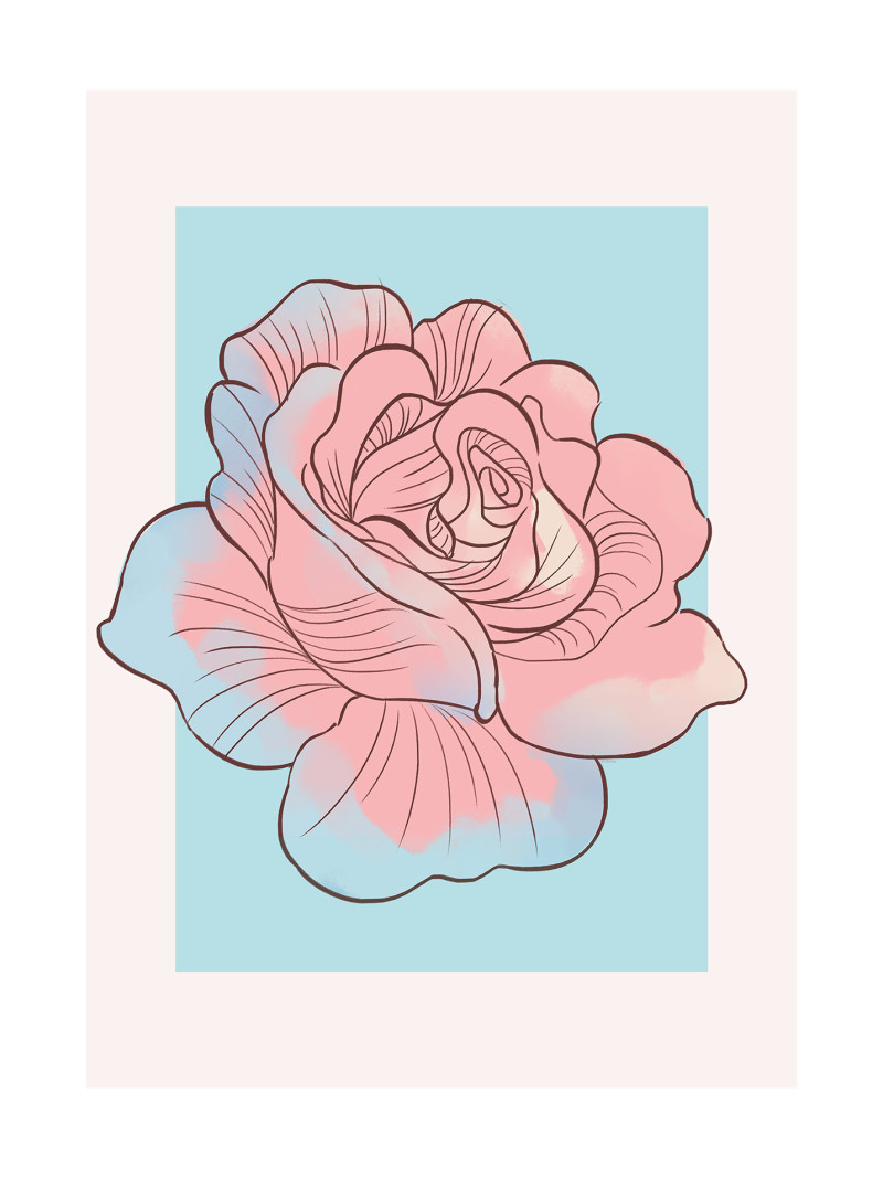 Cinderella Rose - Thumbnail View 1