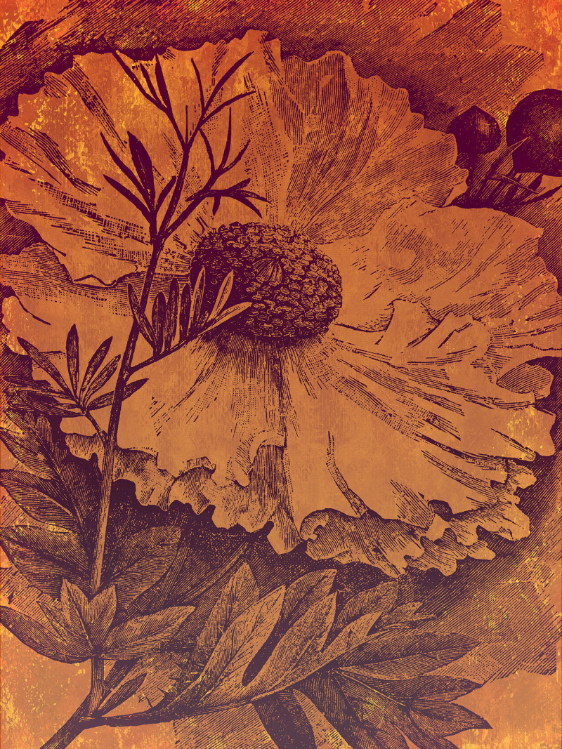 Harvest - Thumbnail View 1