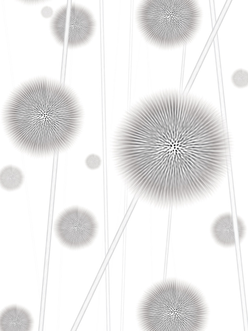 Allium - Thumbnail View 1
