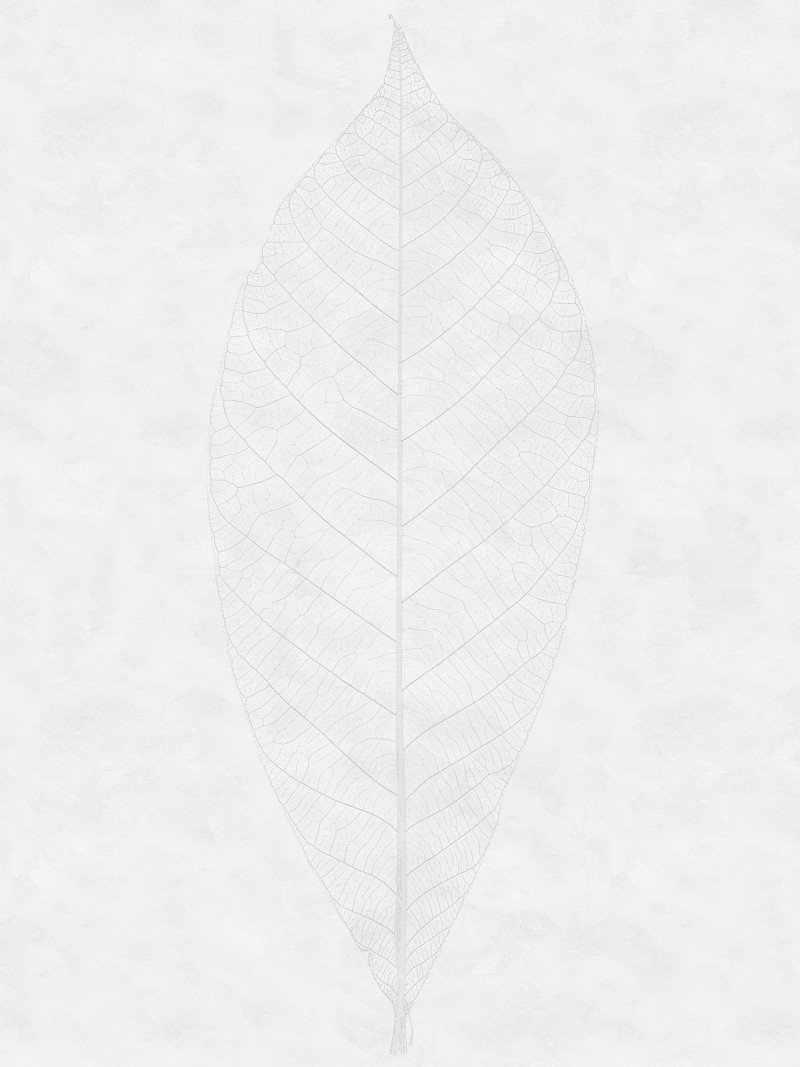 Decent Leaf - Thumbnail View 1