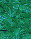 Jungle Leaves