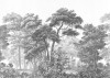 Voyageur - View 1