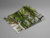 The Magic Tree - View 1
