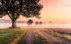 Misty Morning - View 1