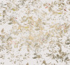 Golden Feathers - View 1