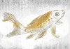 Golden Koi - View 1