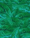 Jungle Leaves - View 1