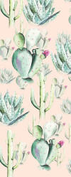 Cactus Rose - View 1