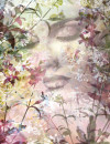 Sense - View 1