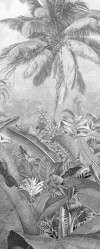 Amazonia Black & White - View 1