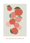 Season Fruits - View 1
