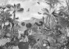 Flora and Fauna - View 1