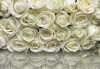 A la Rose - View 1