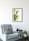 Reed Leaves
