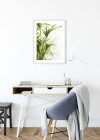Reed Leaves