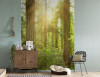 Redwood - View 1
