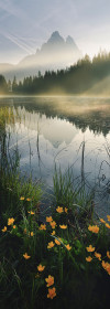 Morning Mist - View 1