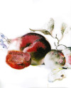 Vino Rosso - View 1