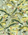 Banana Grove - View 1