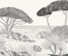 Shoreline - View 1